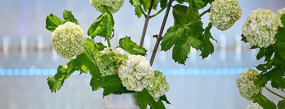 Blumenstrauß in weißer Vase